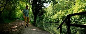 Ashford Hangers National Nature Reserve